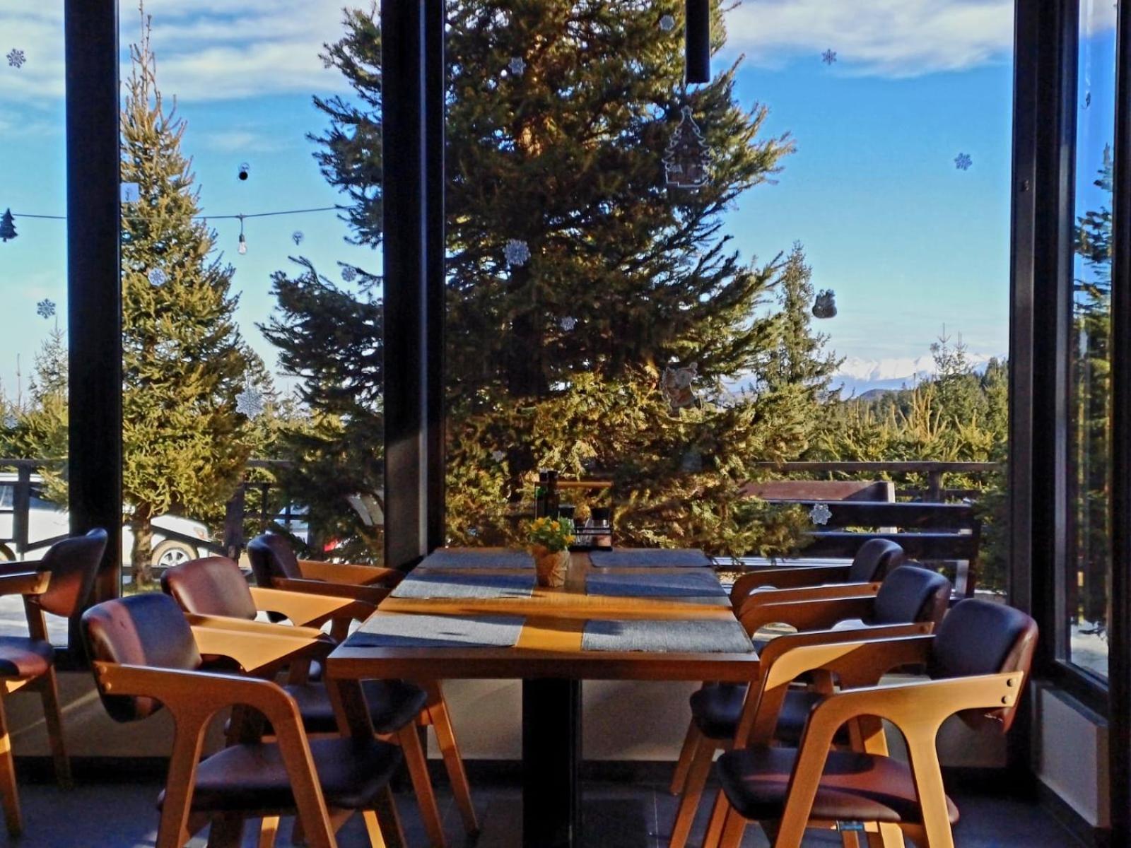 Pensiune & Restaurant Victoria Păltiniş Dış mekan fotoğraf